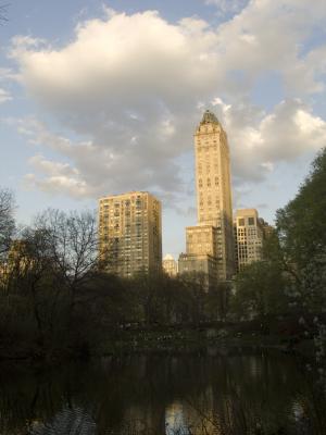 Central Park View, 2006, digital photograph by Orin Buck.